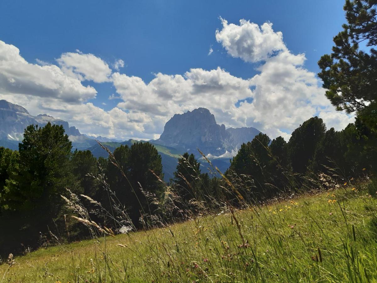 Garni Franca B&B Selva di Val Gardena Extérieur photo