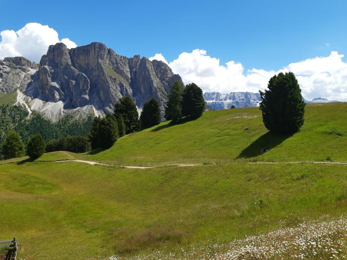 Garni Franca B&B Selva di Val Gardena Extérieur photo