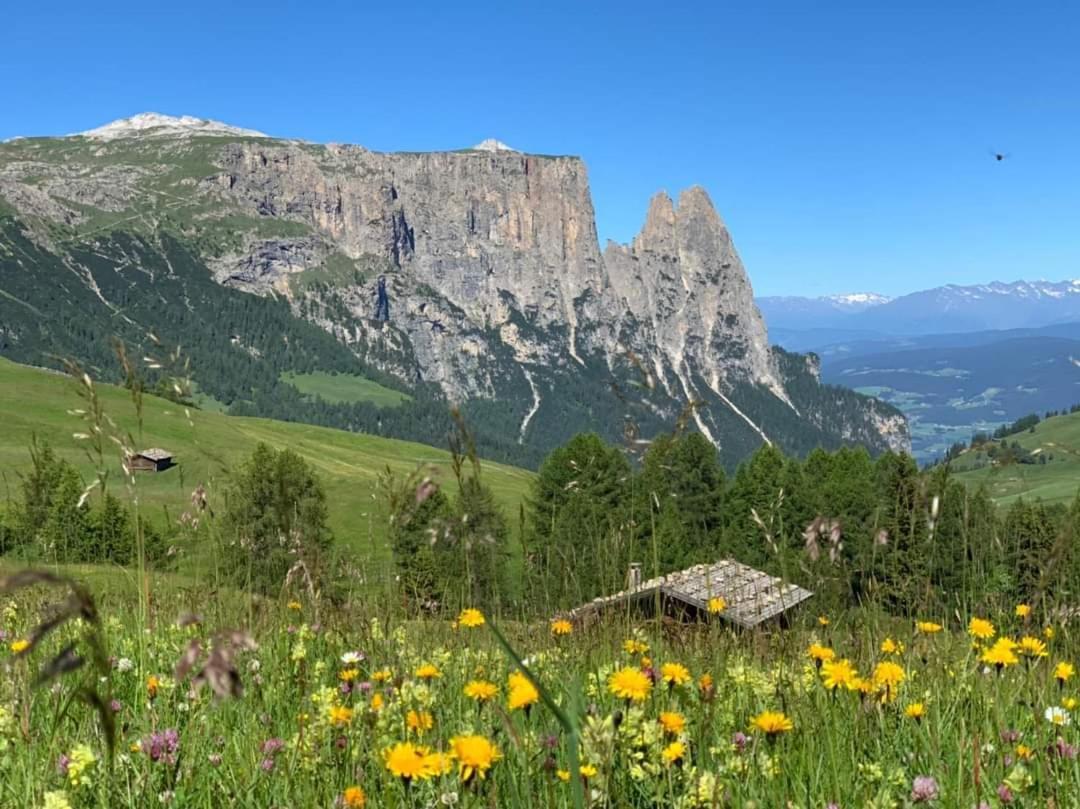 Garni Franca B&B Selva di Val Gardena Extérieur photo