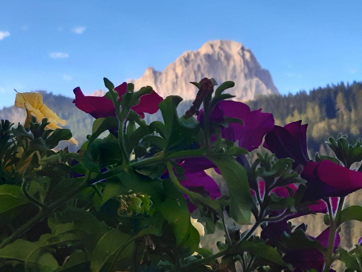 Garni Franca B&B Selva di Val Gardena Extérieur photo