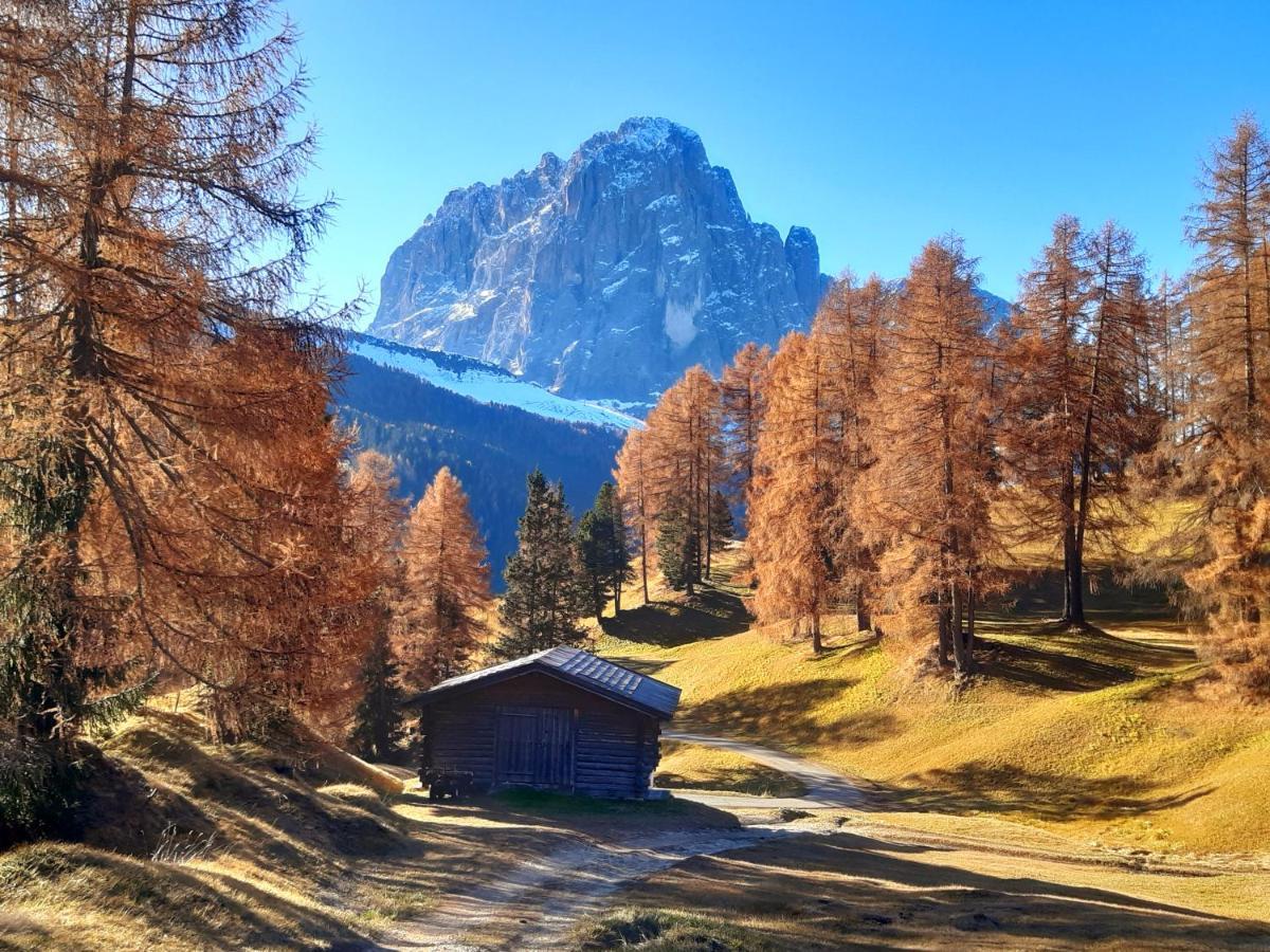 Garni Franca B&B Selva di Val Gardena Extérieur photo